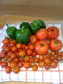 RA Tomatoes RA Tomatoes