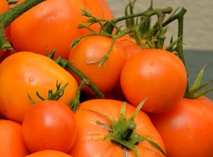 Tomatoes-640x472-3936_167