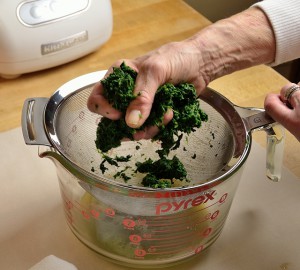 Squeezing Spinach-640x576-0952_419