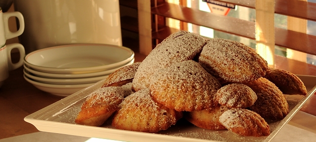 Hazelnut madeleines with frangelico cream